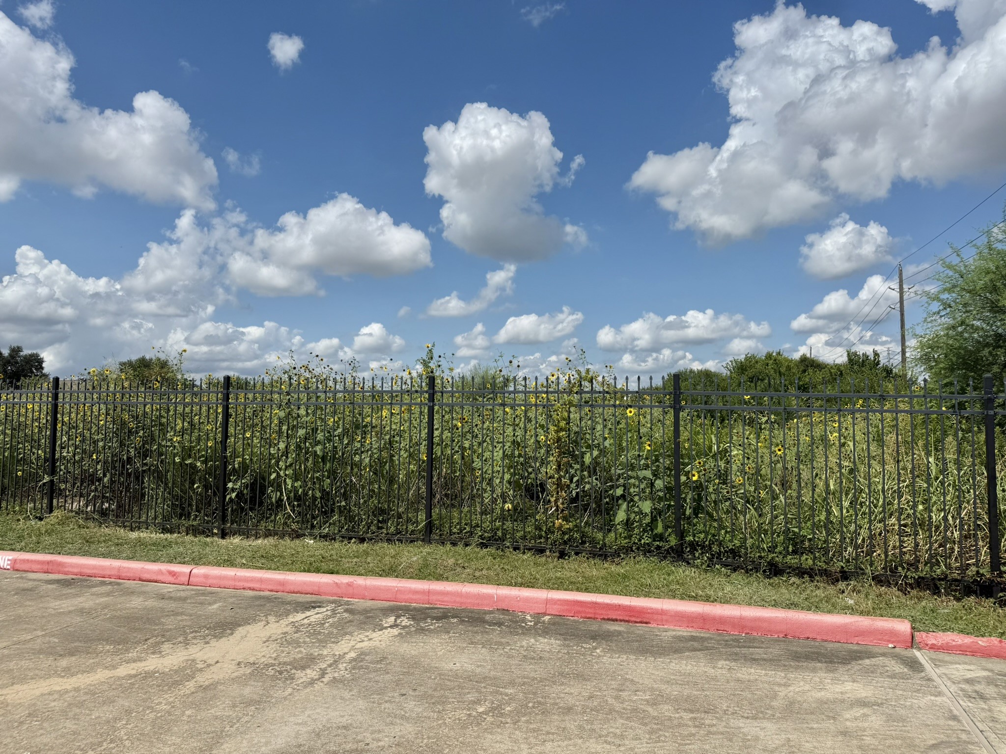 0 Alief Clodine Road Houston, TX 77082 - Photo 7 of 10 a view of basketball court