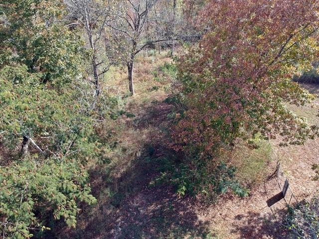 Piney RdDJI_0432