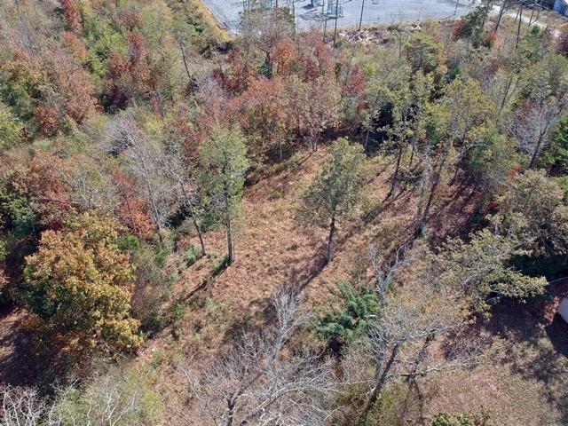 Piney RdDJI_0437