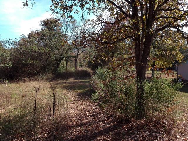 Piney RdDJI_0441
