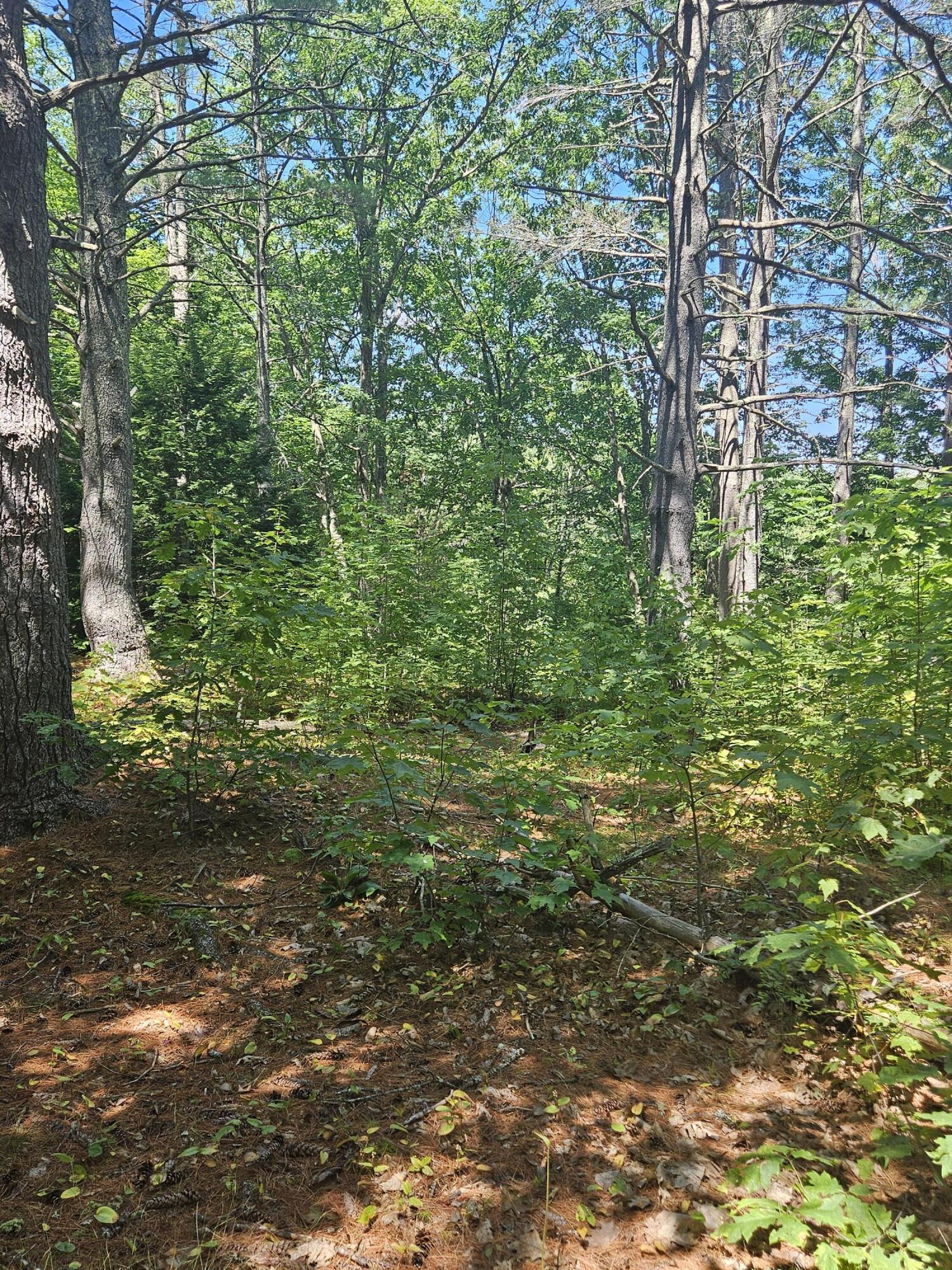 188 Old Chadbourne Road Lewiston, ME 04240 - Photo 56 of 71 20250802_121906