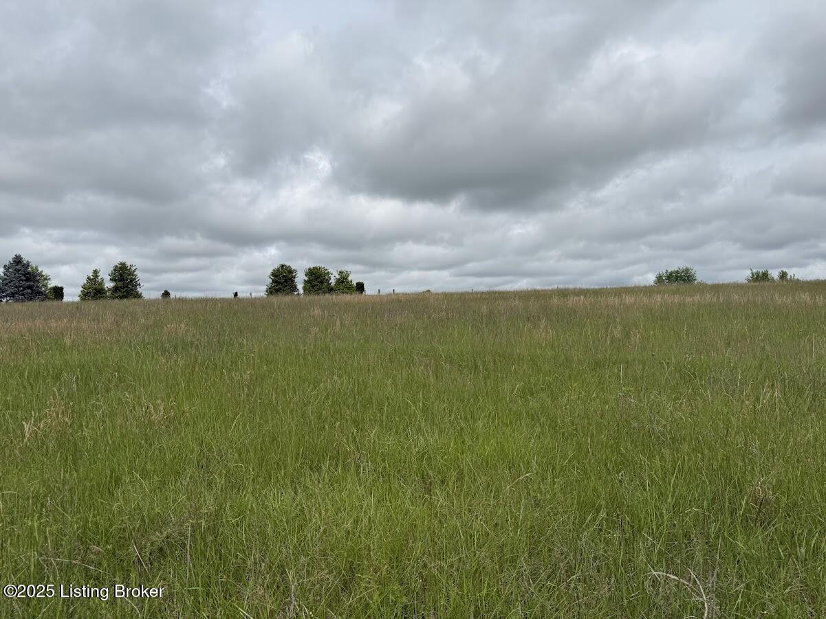760 New Cut Road Campbellsburg, KY 40011 - Photo 11 of 24 Land