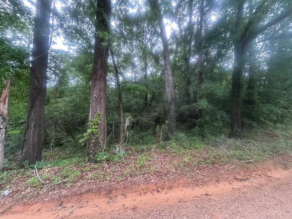 0 Railroad Road Cowarts, AL 36321 - Photo 2 of 3 Gallery Image 2