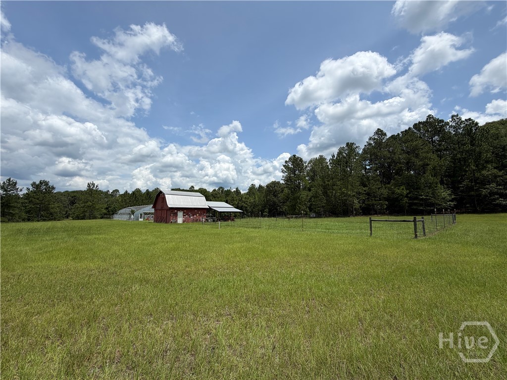 479 Old Poor Robin Road Sylvania, GA 30467 - Photo 20 of 22