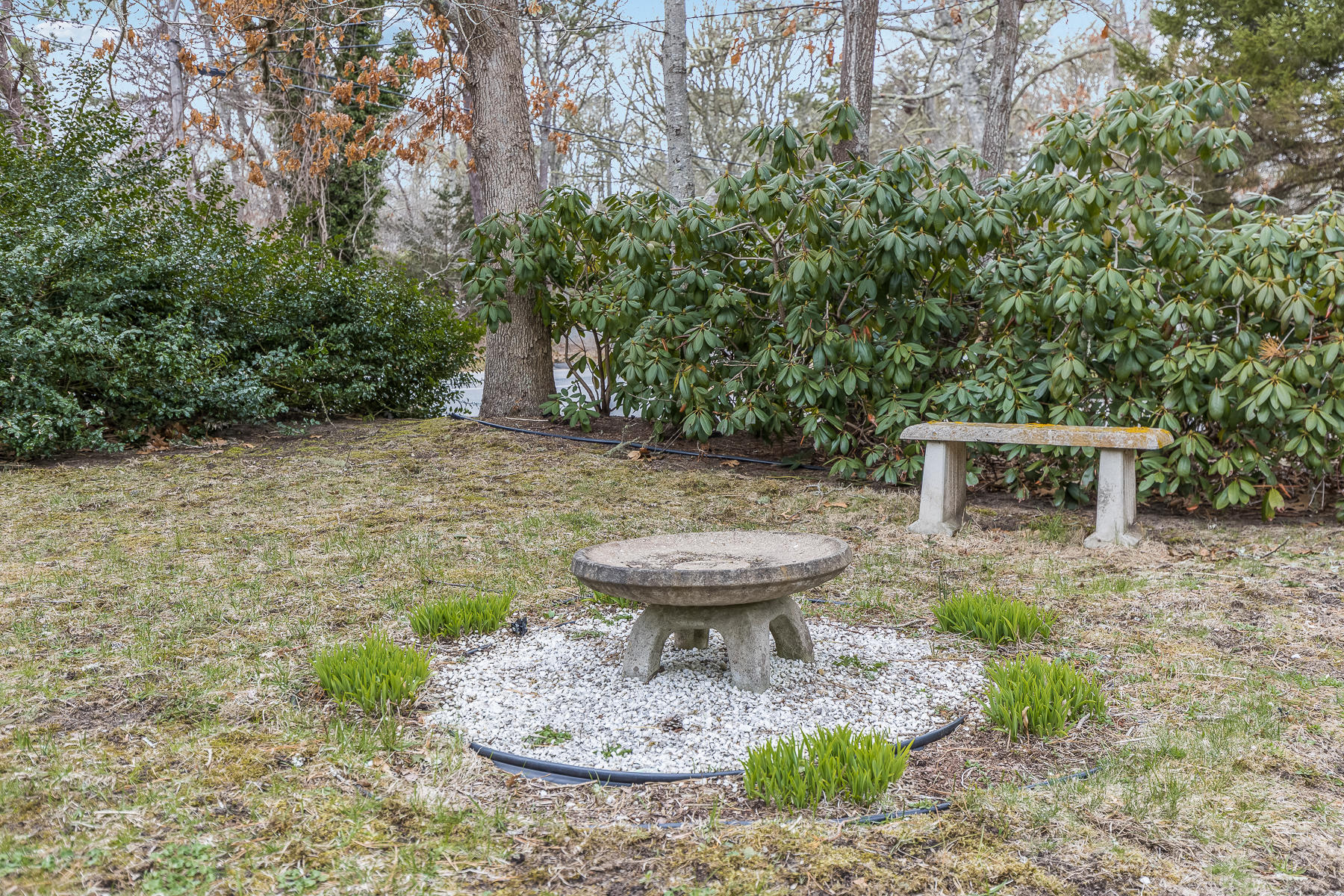 116 Long Road Harwich, MA 02645 - Photo 26 of 32 a view of a backyard with plants and a fountain