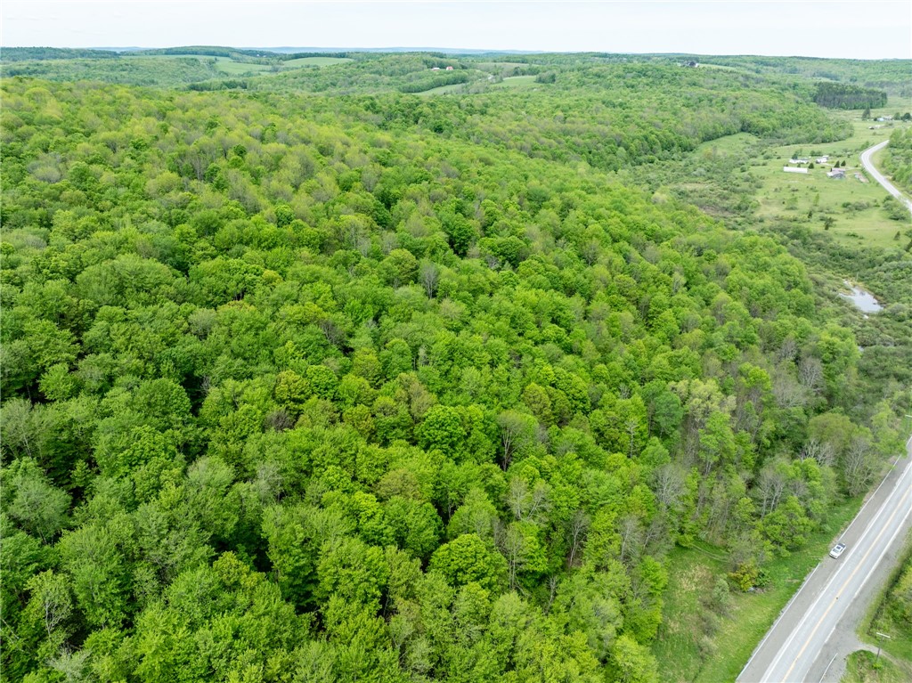 24 County Road New Berlin, NY 13411 - Photo 16 of 19