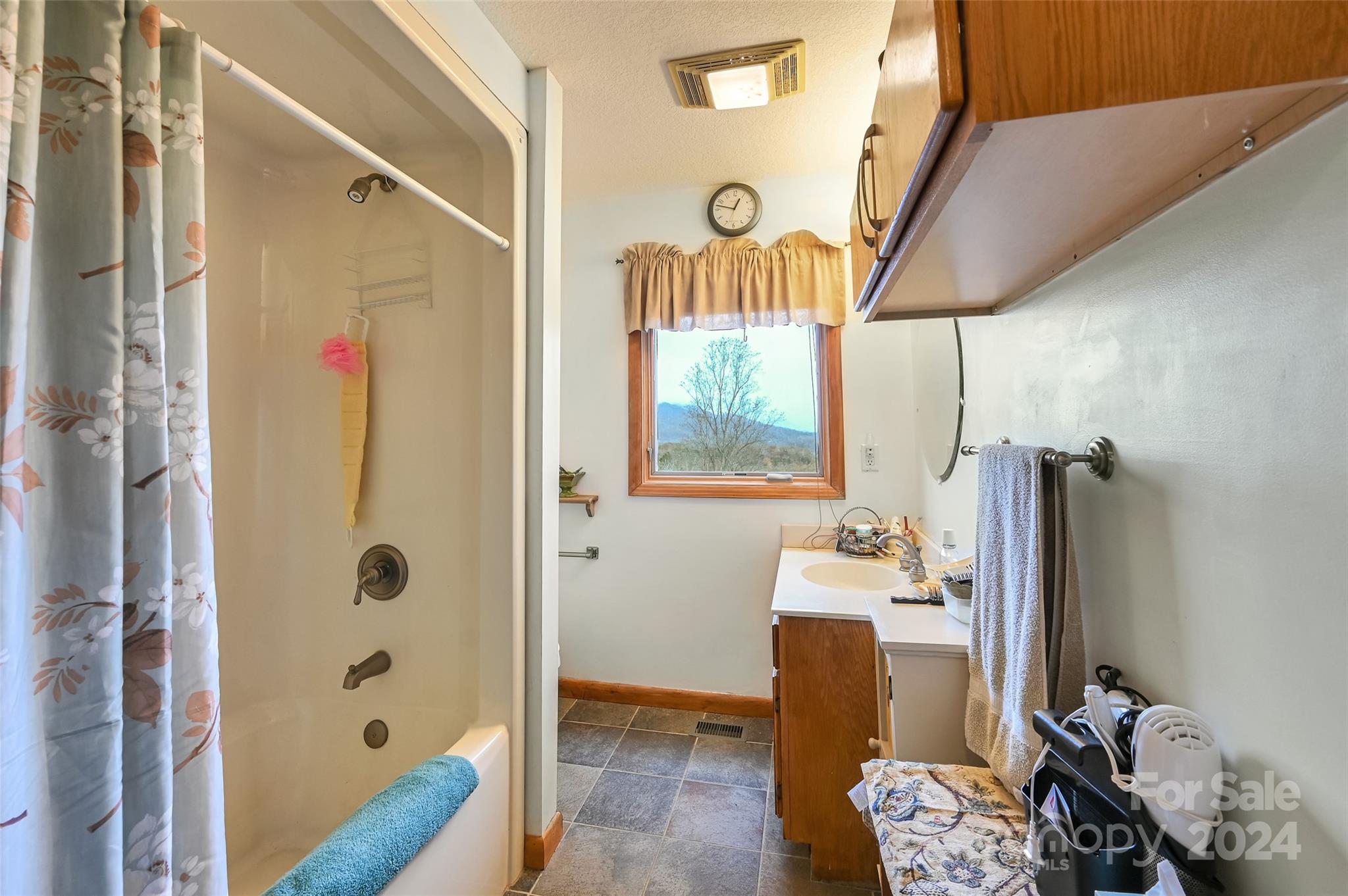 317 Kelley Springs Road Waynesville, NC 28786 - Photo 15 of 31