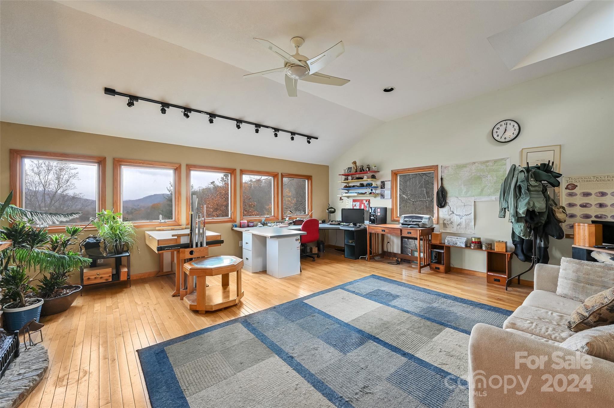 317 Kelley Springs Road Waynesville, NC 28786 - Photo 18 of 31