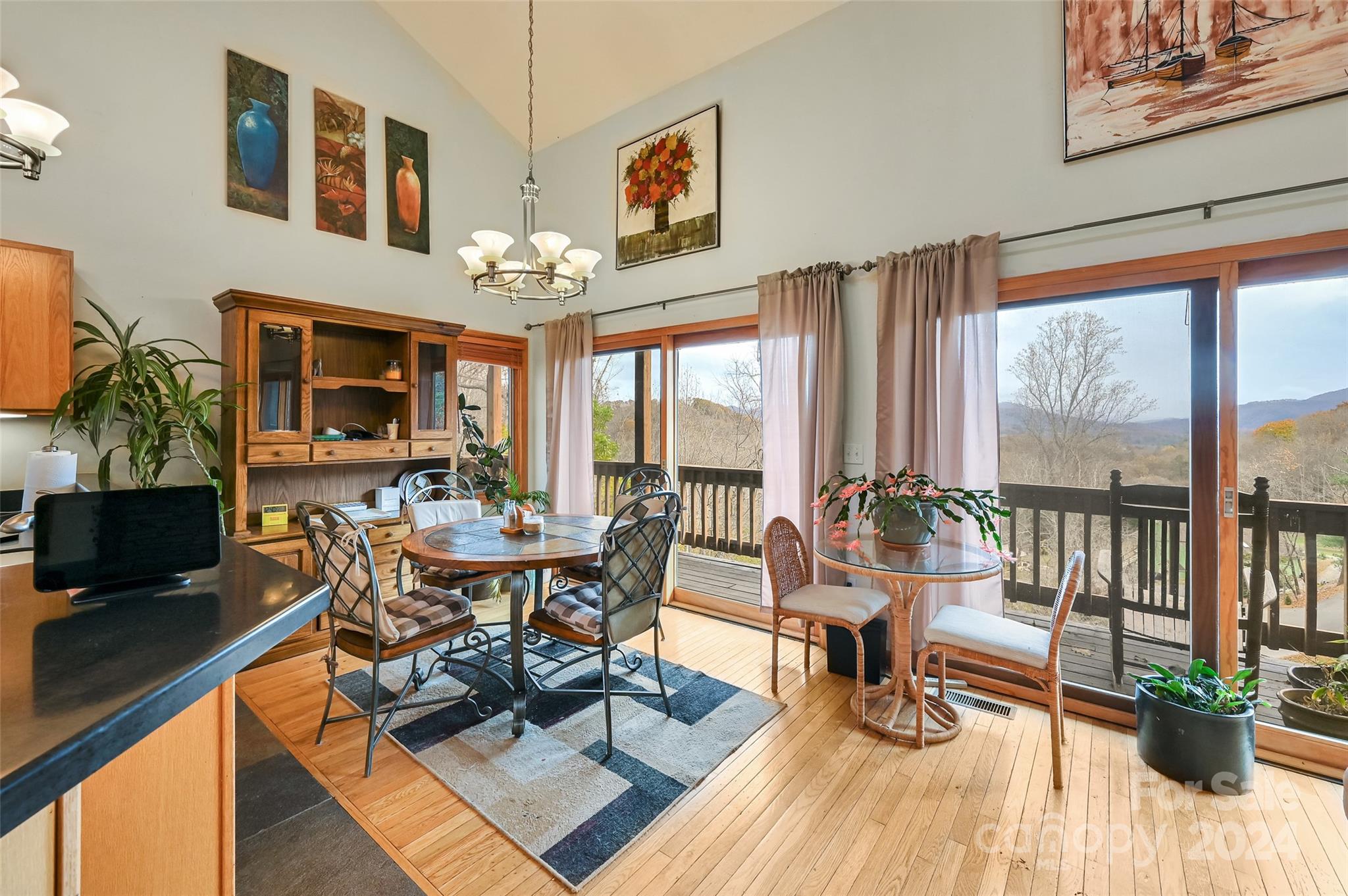 317 Kelley Springs Road Waynesville, NC 28786 - Photo 5 of 31