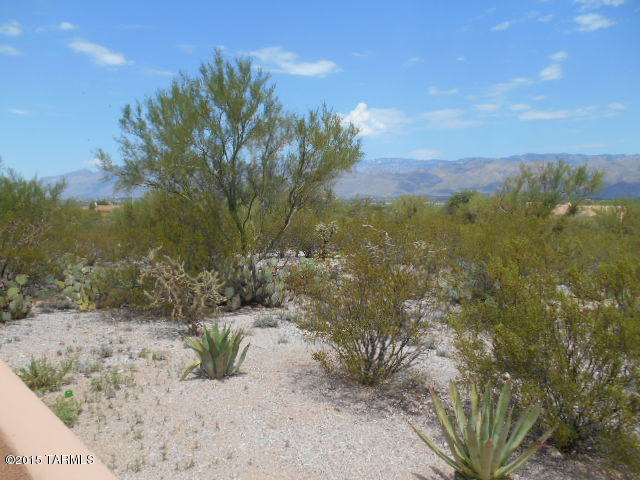 919 North Rancho Del Jefe Loop Tucson, AZ 85748 - Photo 32 of 43 Gallery Image 32