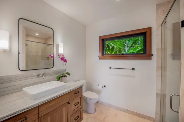 a front view of a house with a plant