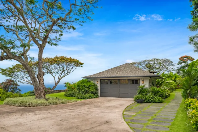 a view of a garden with plants and large trees