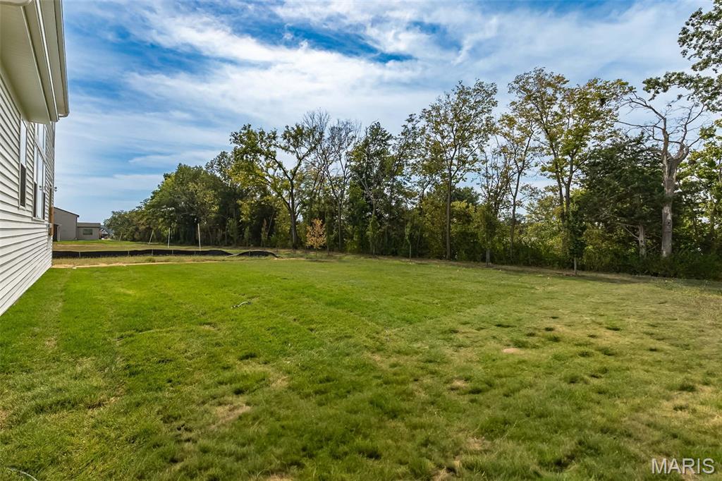 157 Cardow Drive O'Fallon, MO 63368 - Photo 35 of 42