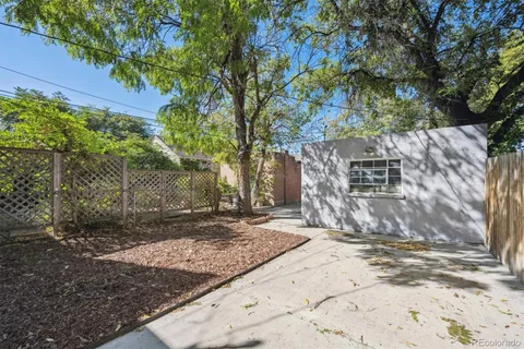 a view of a yard with plants and trees