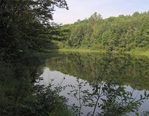 384 Toothaker Pond Road Phillips, ME 04966 - Photo 14 of 16 Other.