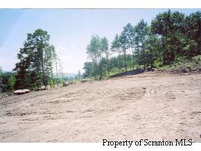 0 Nathan Lee Tr Rte 6 Mayfield, PA 18433 - Photo 1 of 1 Primary Photo