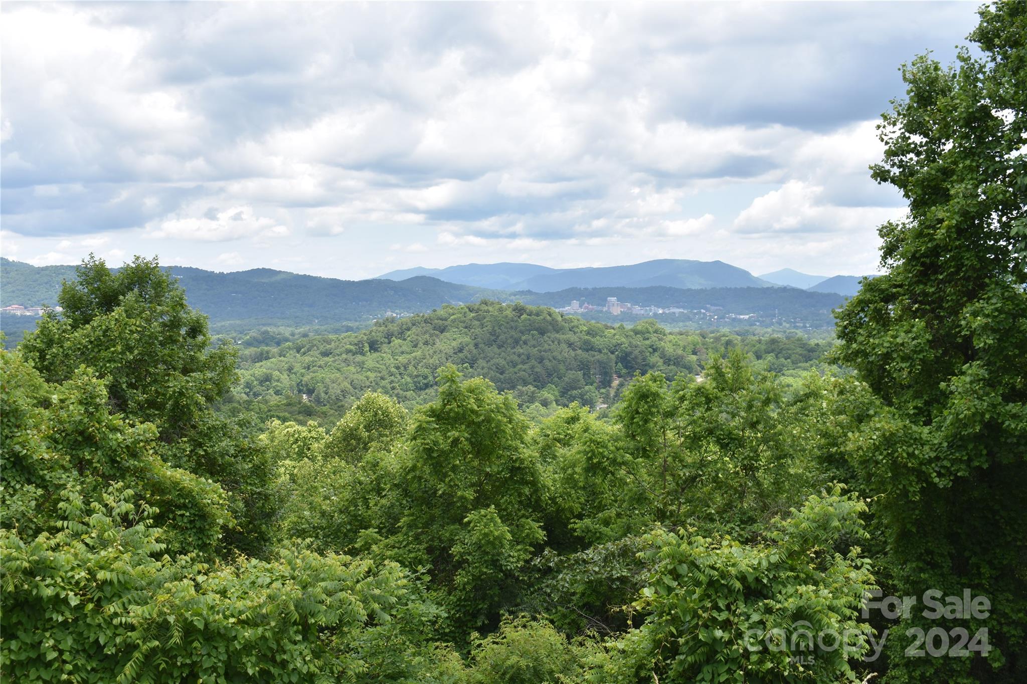 49 Ben Lippen School Rd Unit 2  