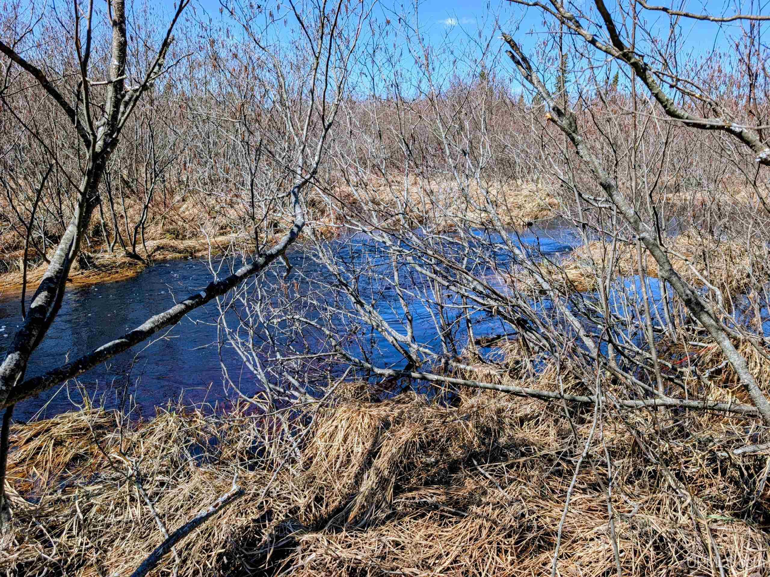 8-acres East Cable Lake Road Crystal Falls, MI 49920 - Photo 10 of 20