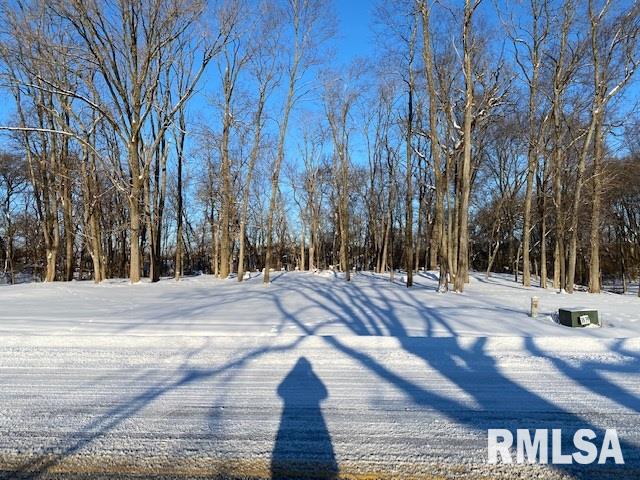 Lot 38 Ridgewood Road Milan, IL 61264 - Photo 2 of 3 Gallery Image 2