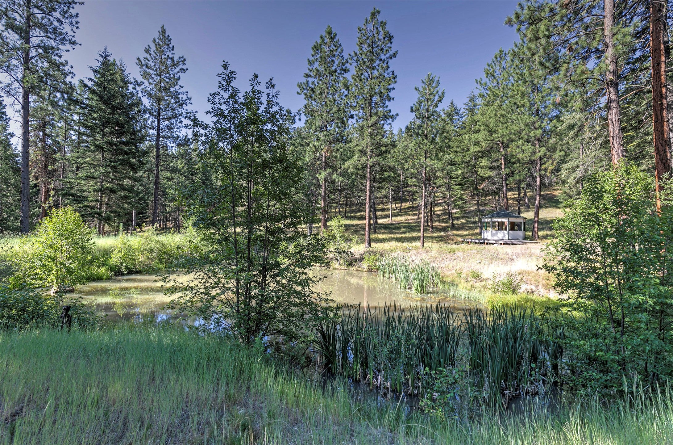 821 Fred Burr Road Victor, MT 59875 - Photo 50 of 65 Gallery Image 50