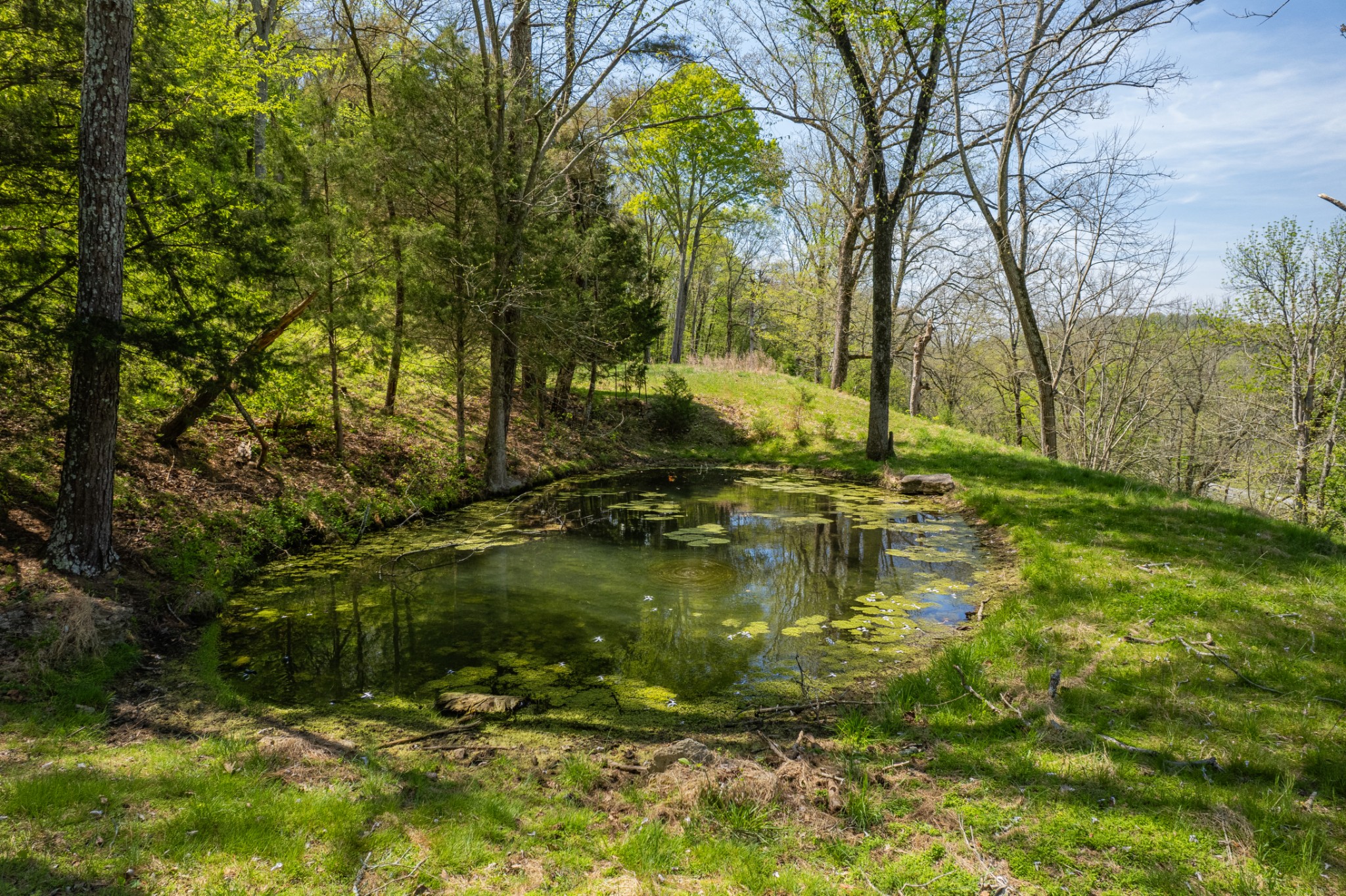8039 Campbellsville Road Pulaski, TN 38478 - Photo 99 of 100