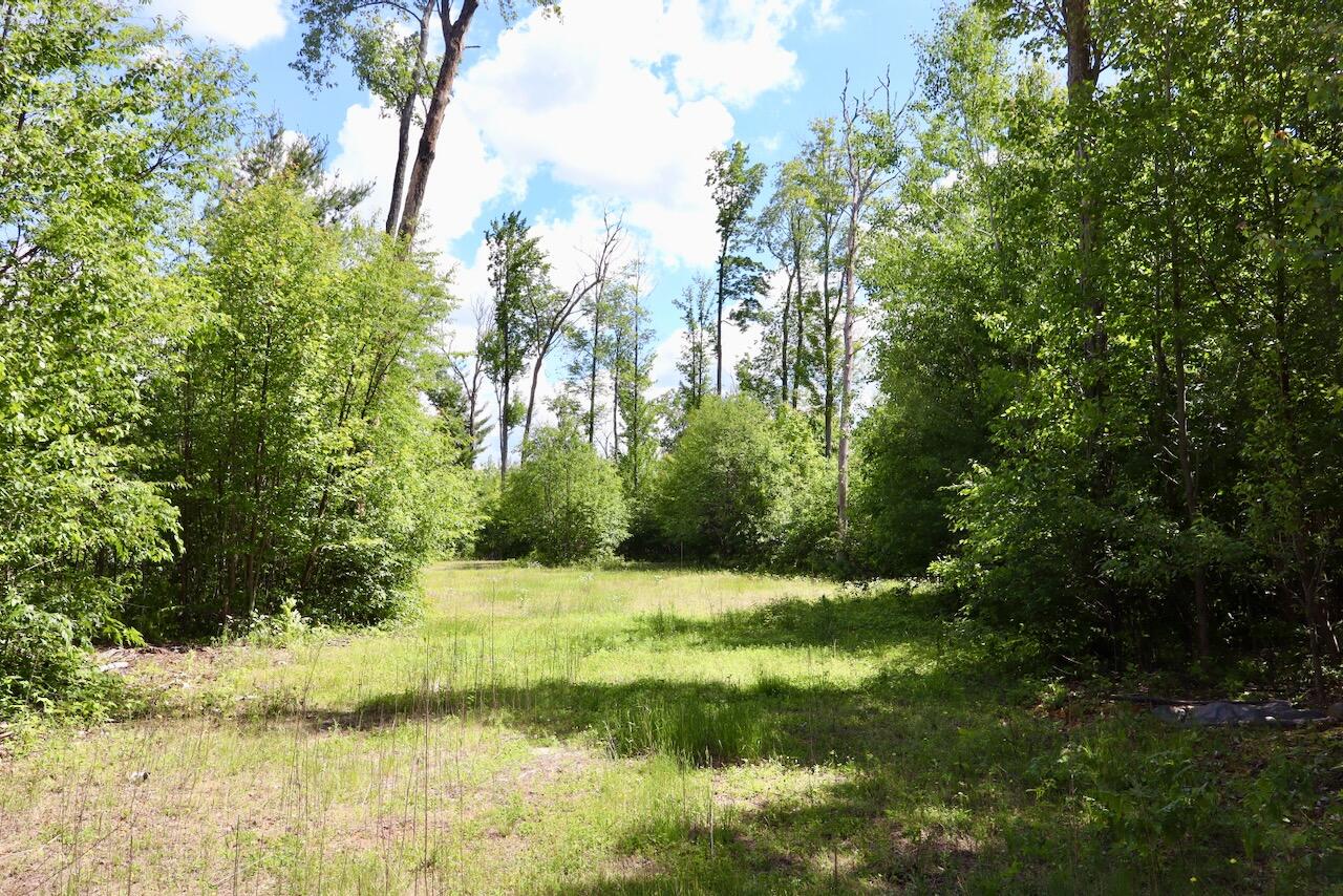 4473 Hamilton Drive Harrison, MI 48625 - Photo 50 of 77 38