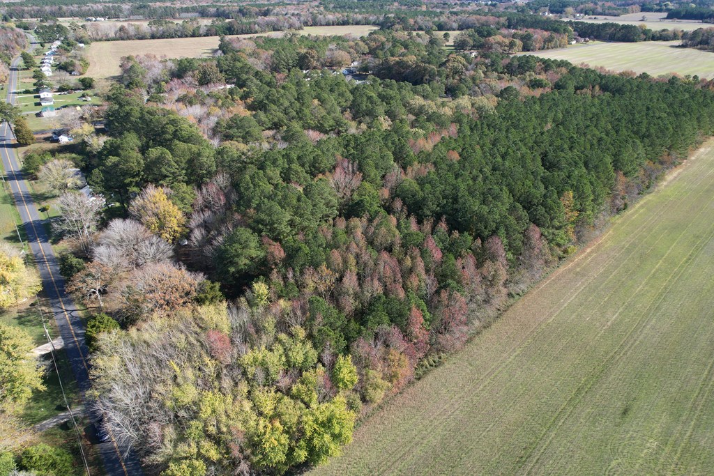 8-acres Redwood Road Onancock, VA 23417 - Photo 3 of 28