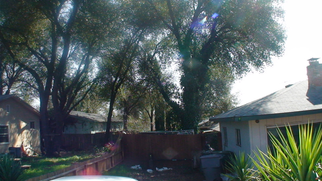 1077 Harpole Road Redding, CA 96002 - Photo 3 of 8 a view of backyard with green space