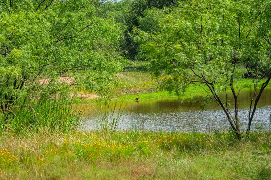7602 County Road 113 Llano, TX 78643 - Photo 36 of 69