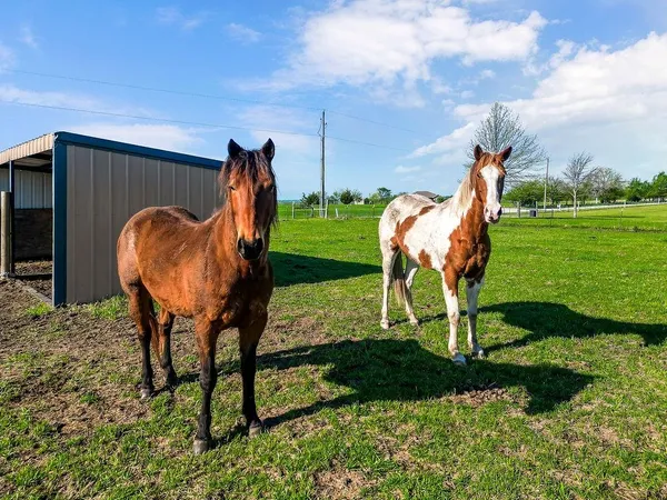 $575,000 | 4860 West 351st Street, Louisburg, KS 66053