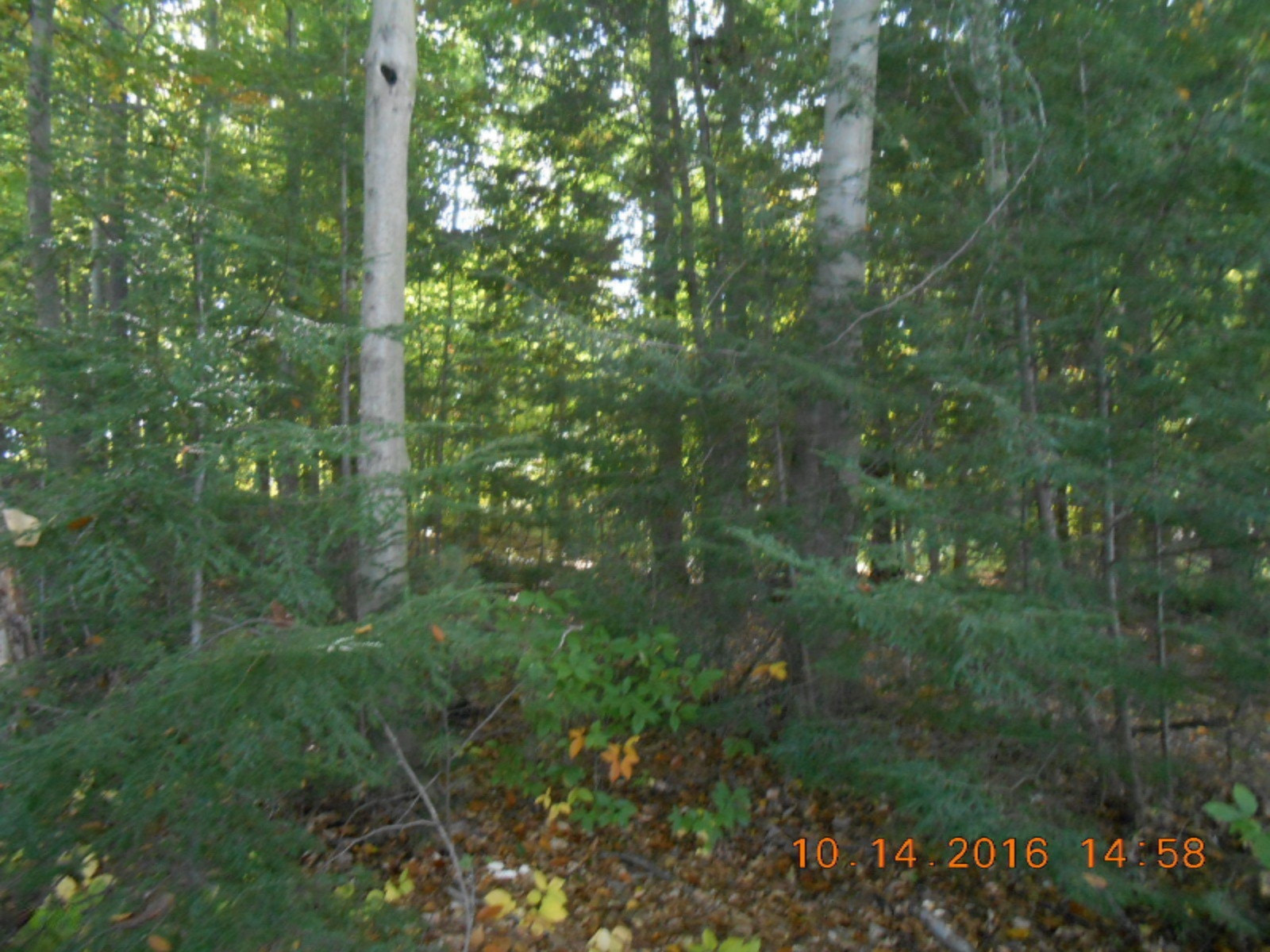 Old Campground Road, Unit 5 Holton, MI 49425 - Photo 15 of 24 2624