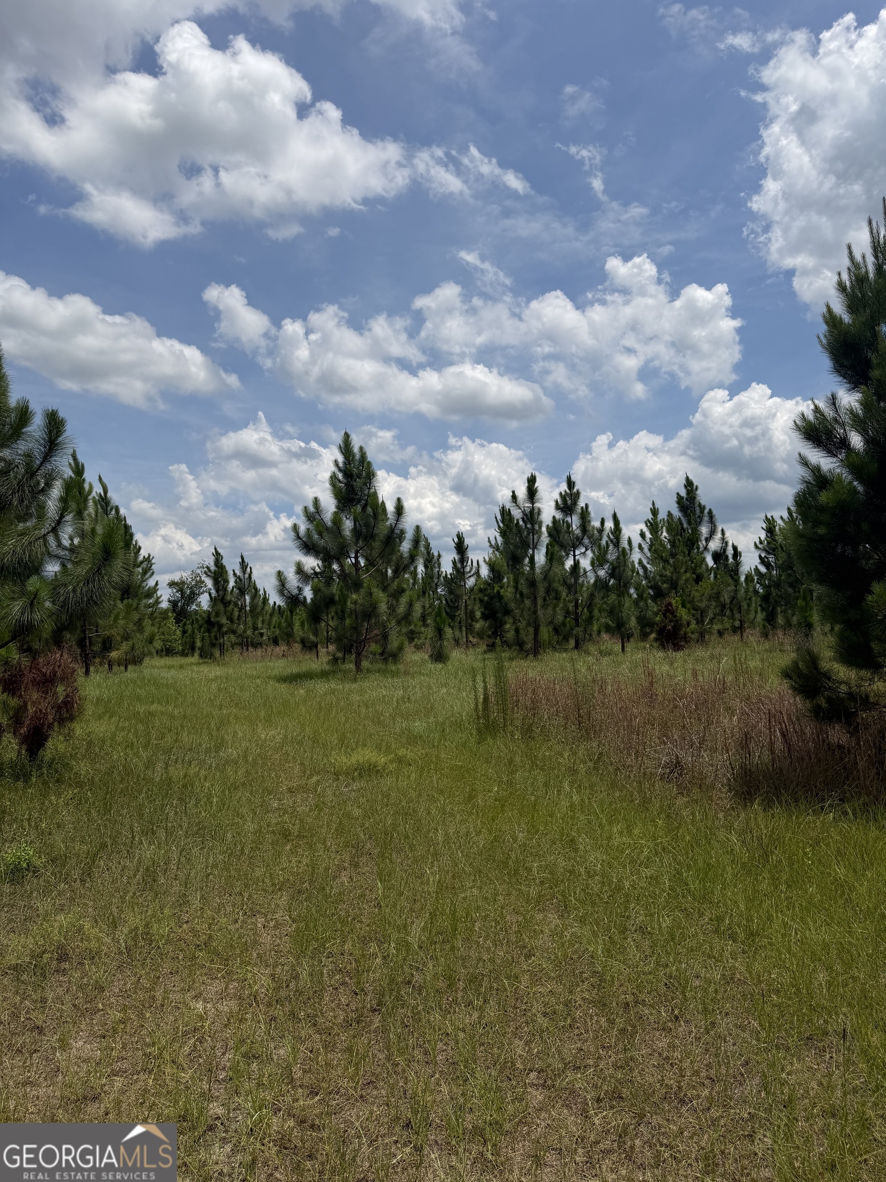 0 West River Road Rhine, GA 31077 - Photo 25 of 31