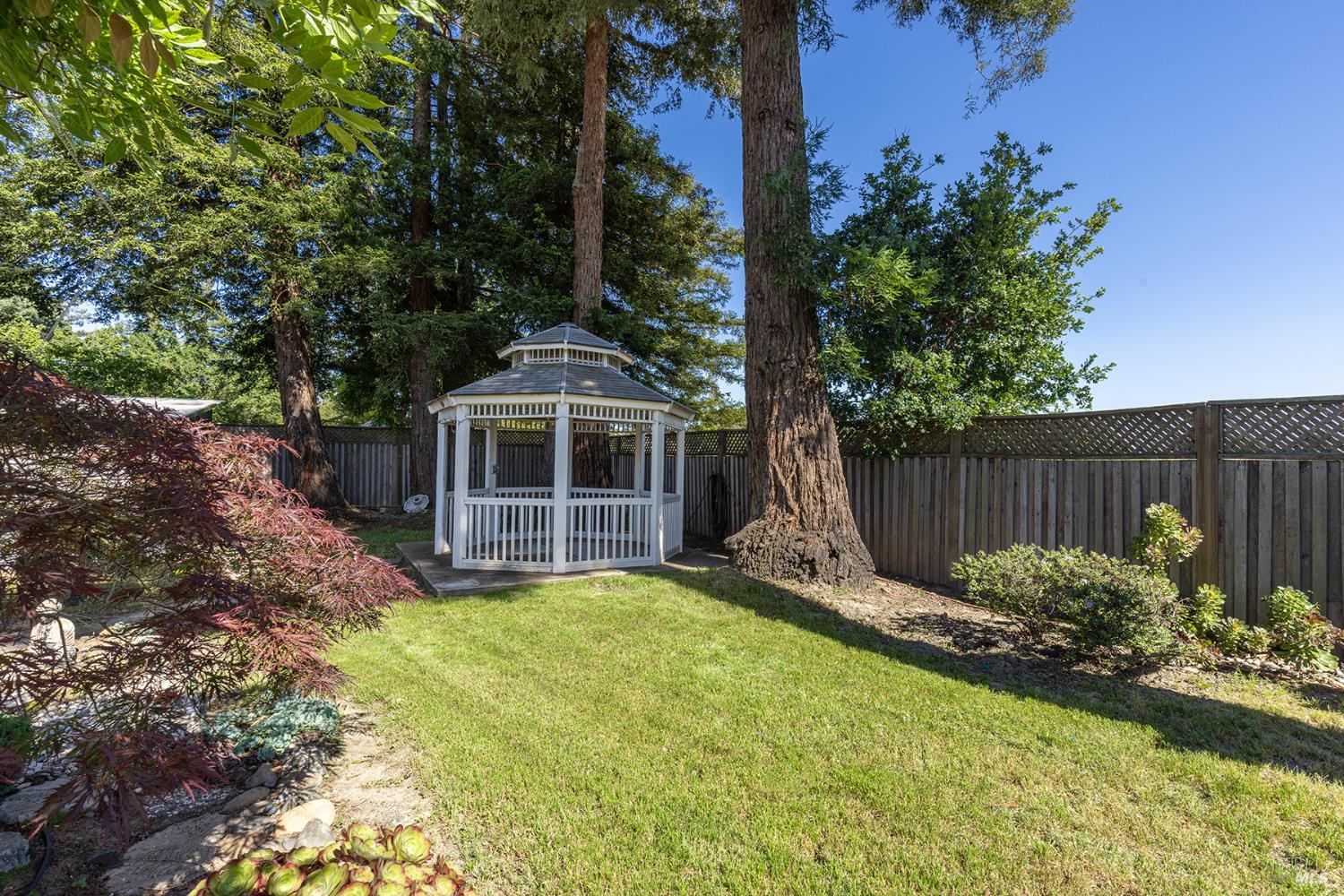 2236 West Hearn Avenue Santa Rosa, CA 95407 - Photo 43 of 56 a view of a backyard with a garden