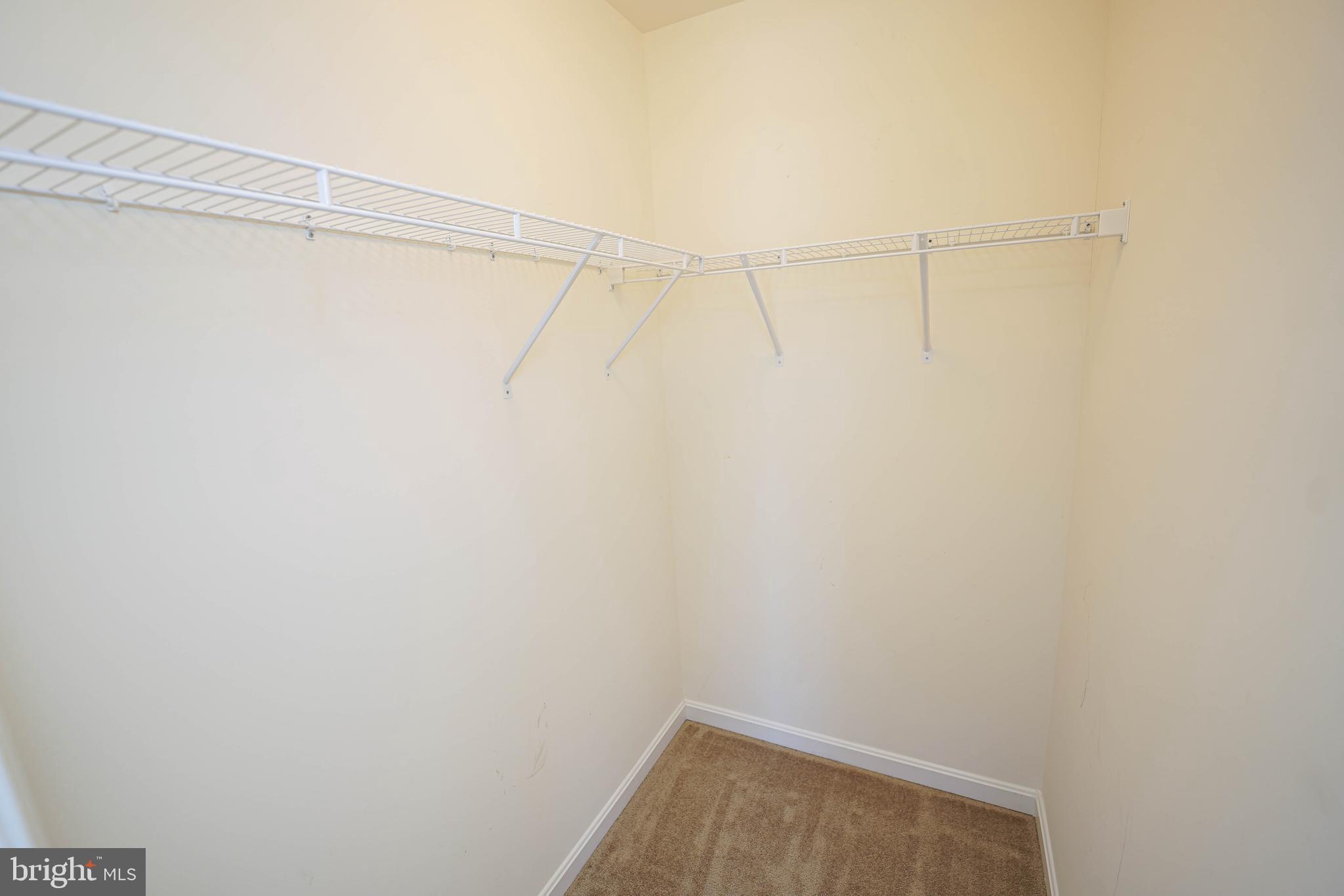 322 Appleby School Road Cambridge, MD 21613 - Photo 49 of 58 a view of a room with racks on the wall