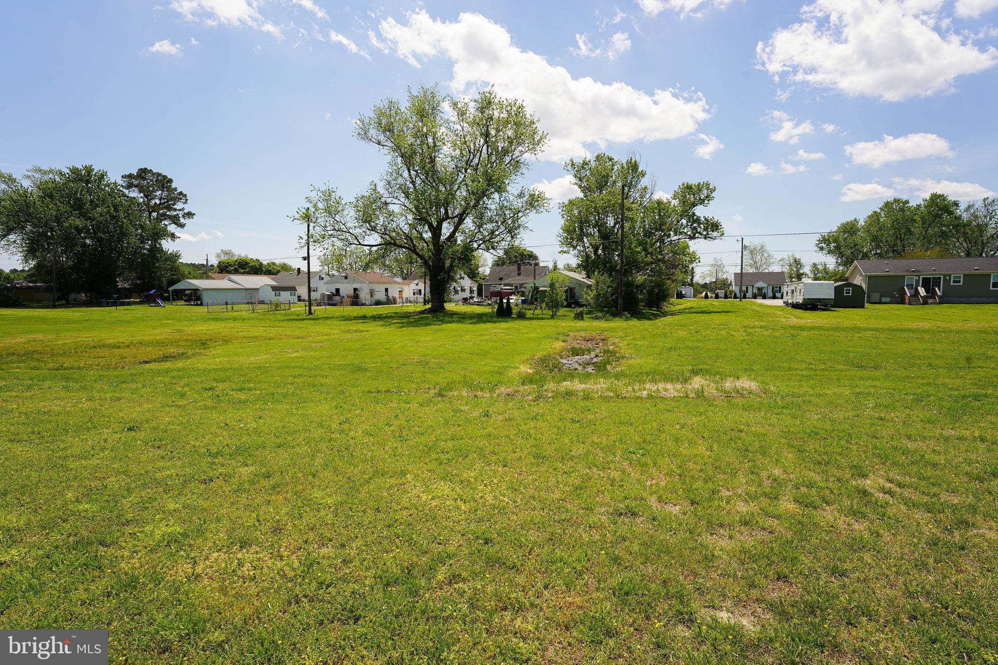 322 Appleby School Road Cambridge, MD 21613 - Photo 7 of 58 a view of a big yard of grass and an trees