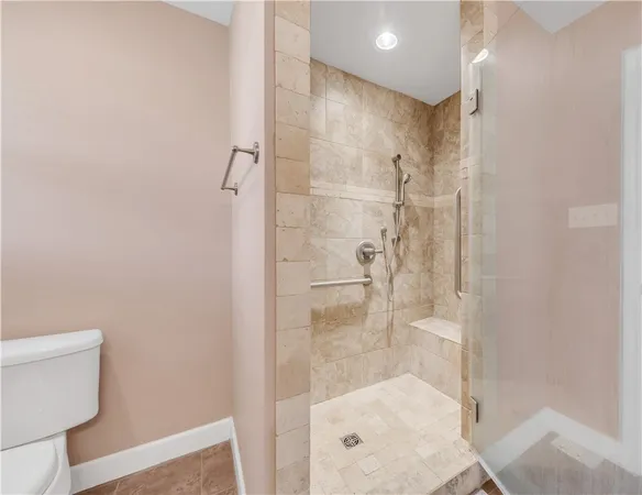 a bathroom with a shower and toilet