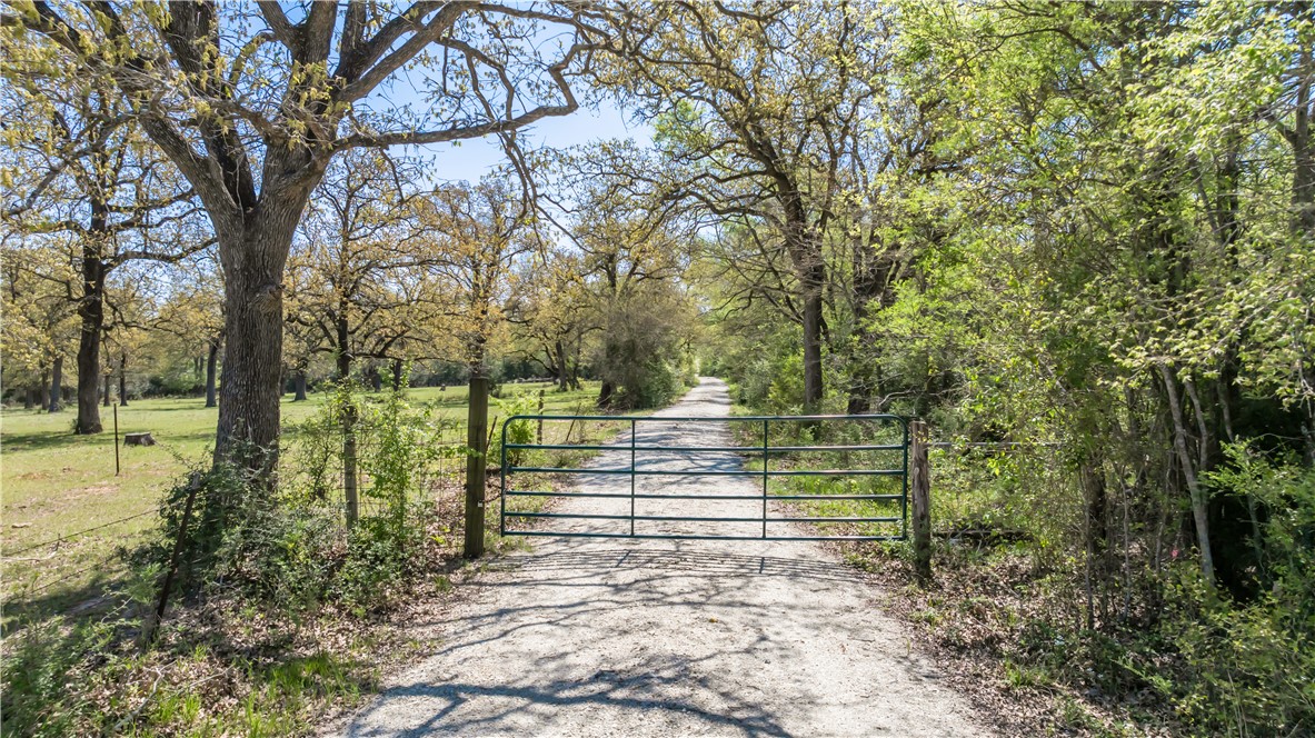 5732 Rose Hill Road Calvert, TX 77837 - Photo 30 of 46 a view of yard with trees