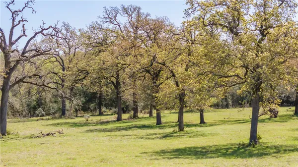 a view of a yard and mountain in the background