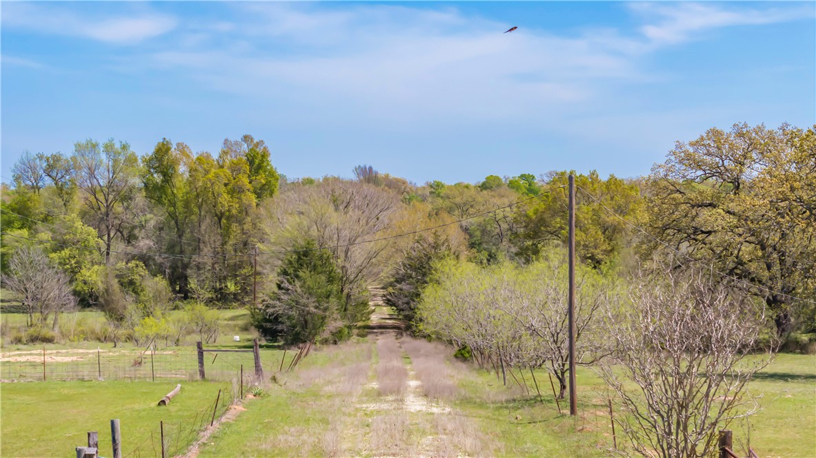 5732 Rose Hill Road Calvert, TX 77837 - Photo 33 of 46 a view of a yard and mountain in the background