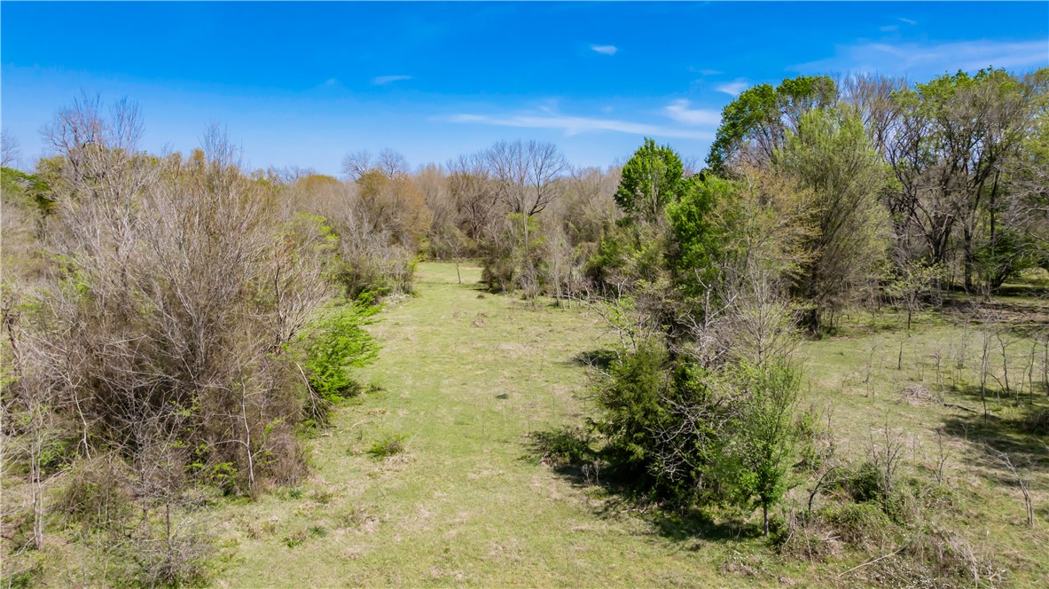 5732 Rose Hill Road Calvert, TX 77837 - Photo 35 of 46 a view of a yard with a house