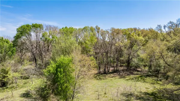 a view of a forest with a forest