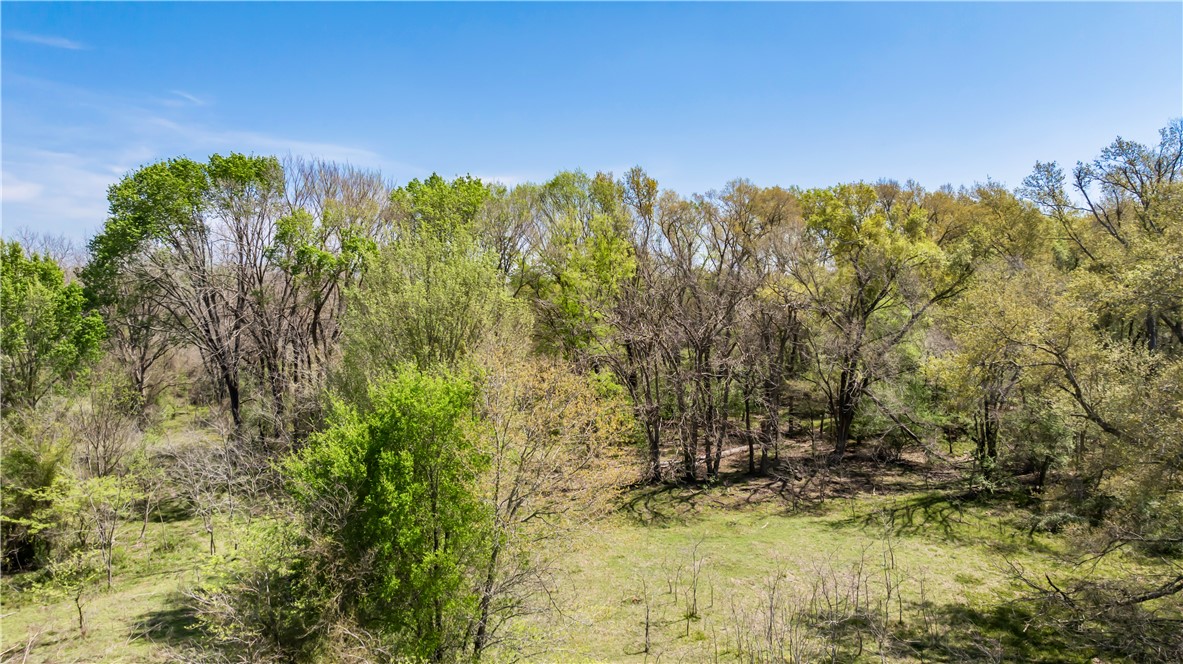 5732 Rose Hill Road Calvert, TX 77837 - Photo 36 of 46 a view of a yard with a tree