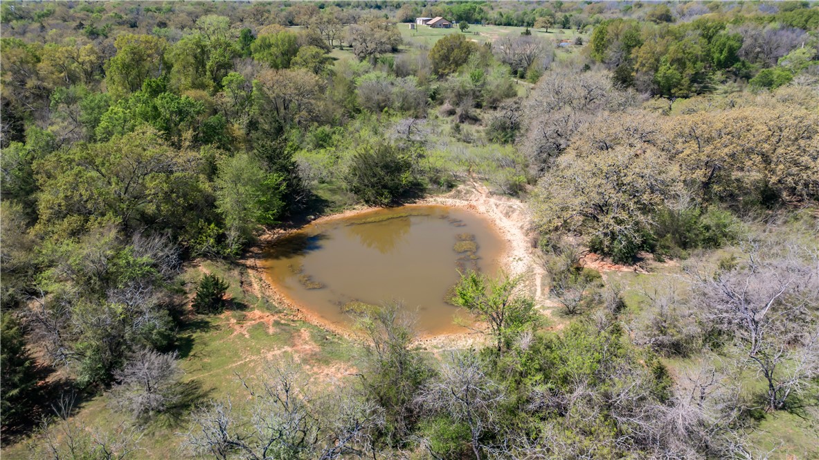 5732 Rose Hill Road Calvert, TX 77837 - Photo 39 of 46 a view of a forest with a forest