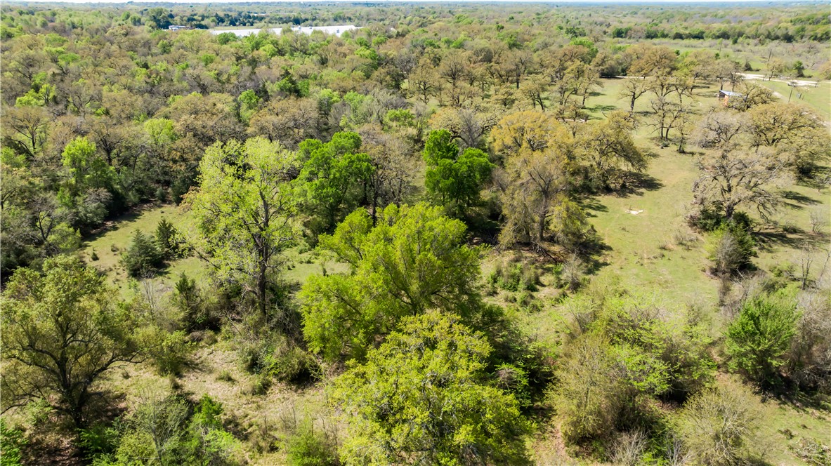 5732 Rose Hill Road Calvert, TX 77837 - Photo 40 of 46 a view of a yard