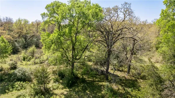 a view of a yard with trees