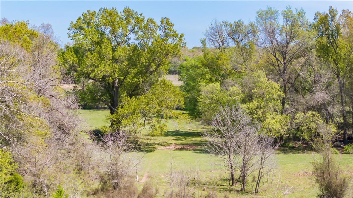 5732 Rose Hill Road Calvert, TX 77837 - Photo 43 of 46 a view of a lake with a trees in the background