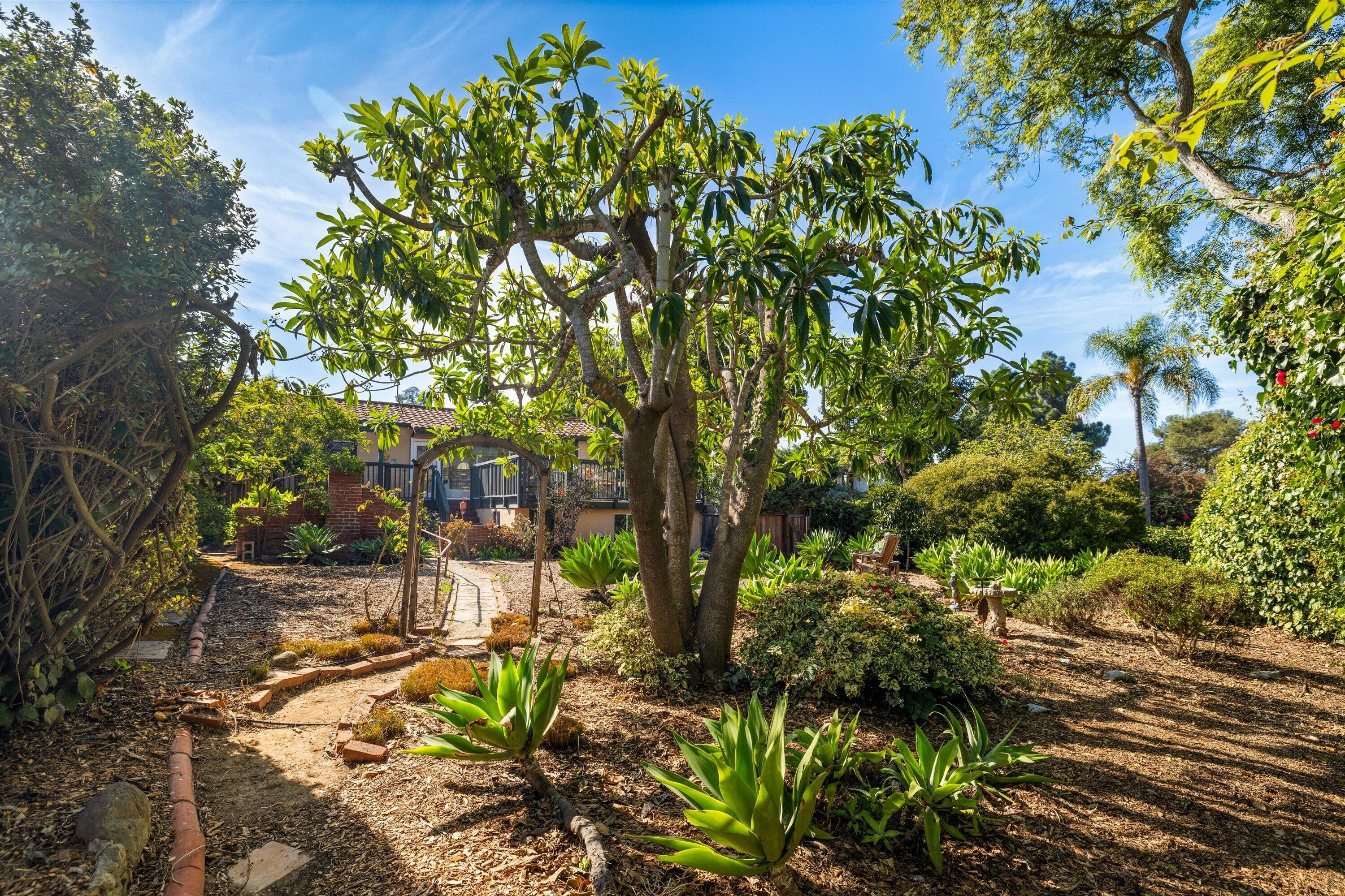 3050 Serena Road Santa Barbara, CA 93105 - Photo 34 of 58 28-7L5A8764