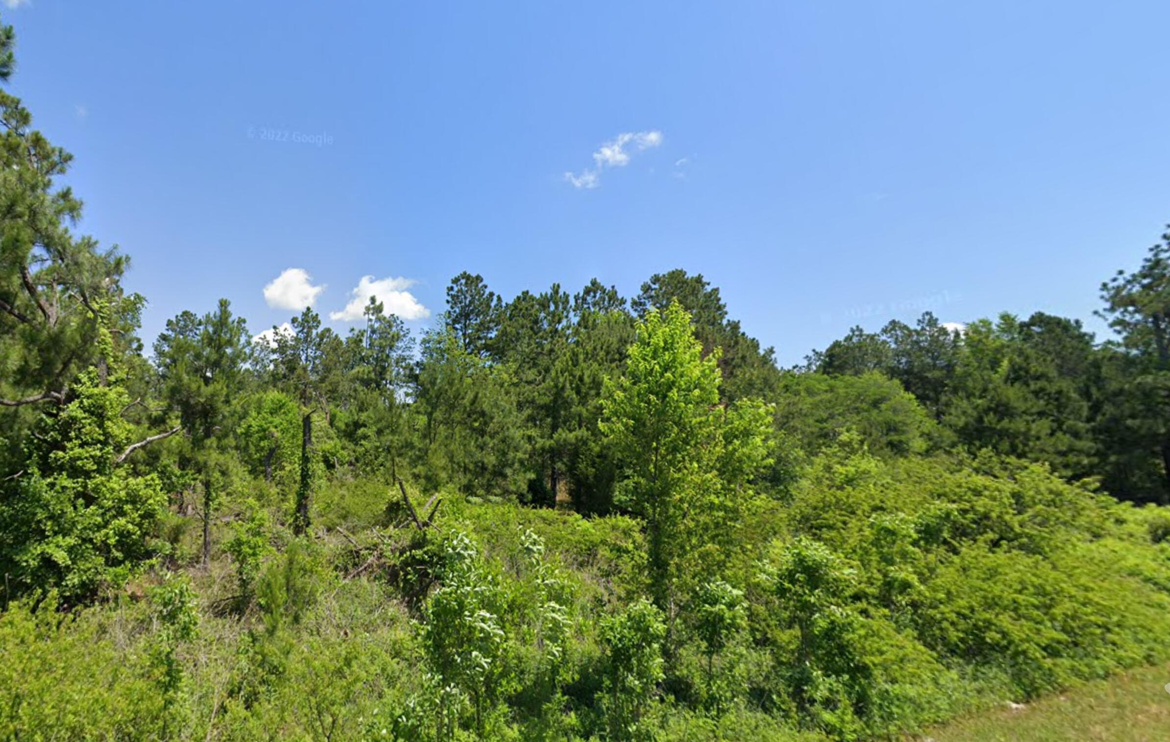 Lot 3 Tinker Creek Road Williston, SC 29853 - Photo 2 of 2