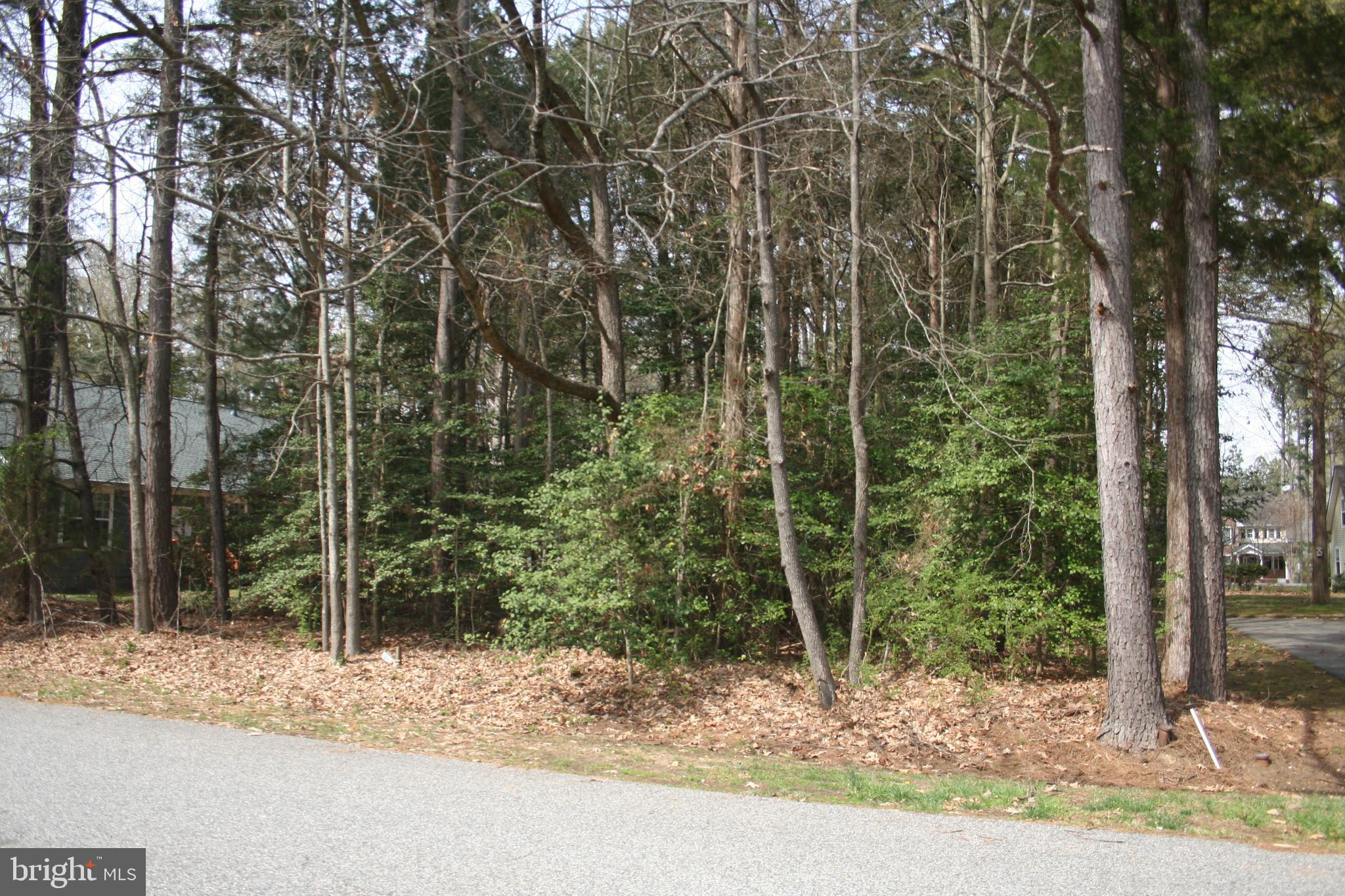 14590 Honeysuckle Way Issue, MD 20645 - Photo 2 of 3