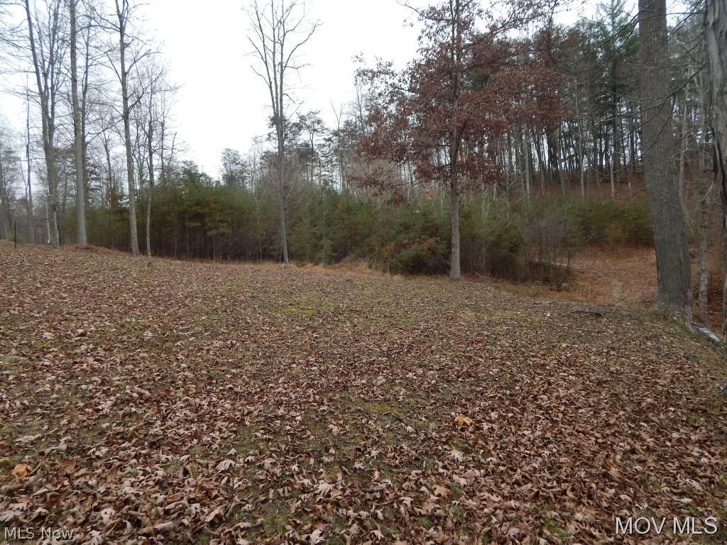0 State Park Road Harrisville, WV 26362 - Photo 3 of 11